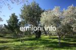 GL 0174 - Ranger's Lodge - Flamboura - Kranidi 